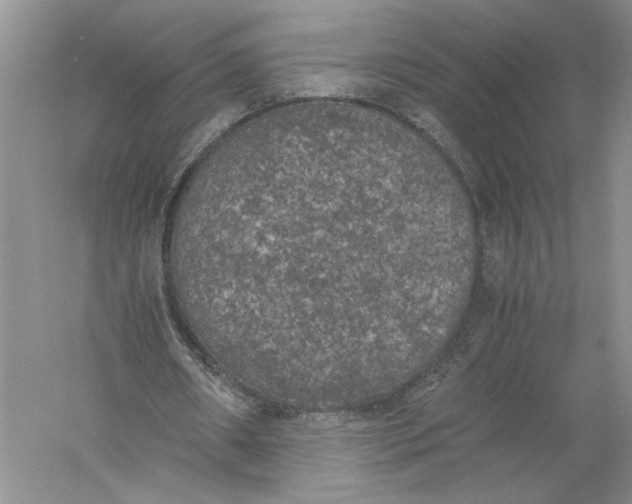 X0000056000482200509092050