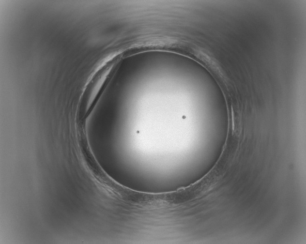 X0000056000483200509092050