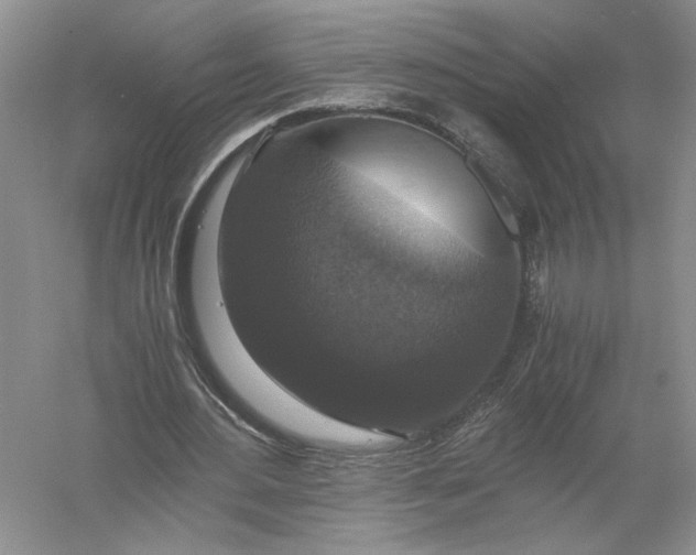 X0000056000484200509092050