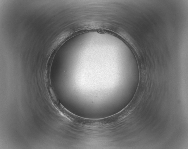 X0000056000485200509092050