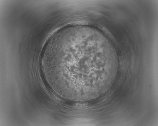 X0000056000487200509092050