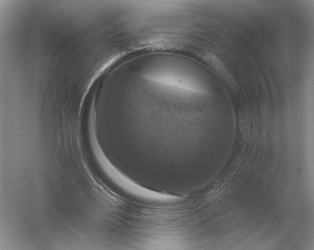 X0000056000488200509092050