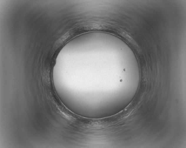 X0000056000489200509092049