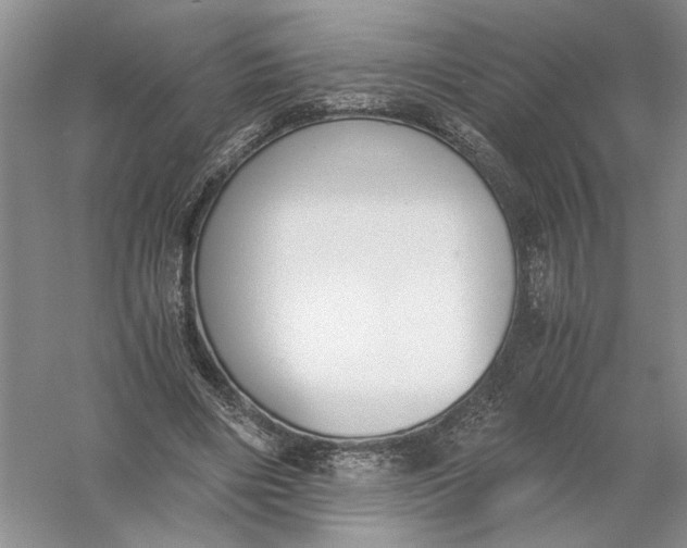 X0000056000490200509092049