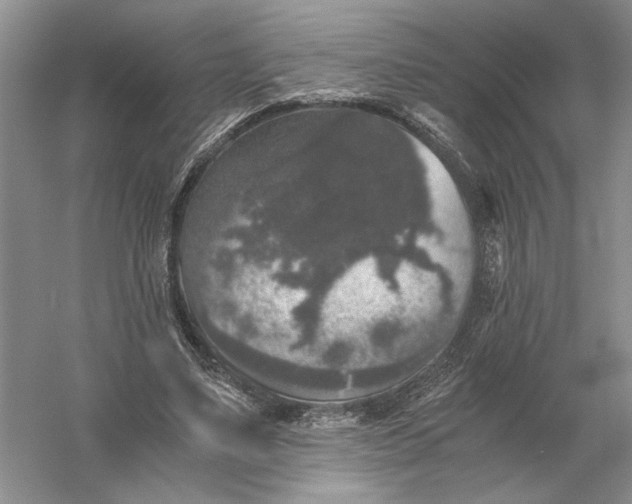 X0000056000491200509092049