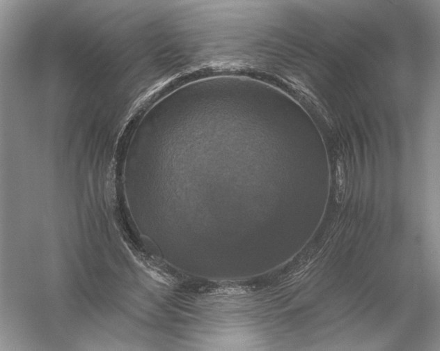 X0000056000492200509092049