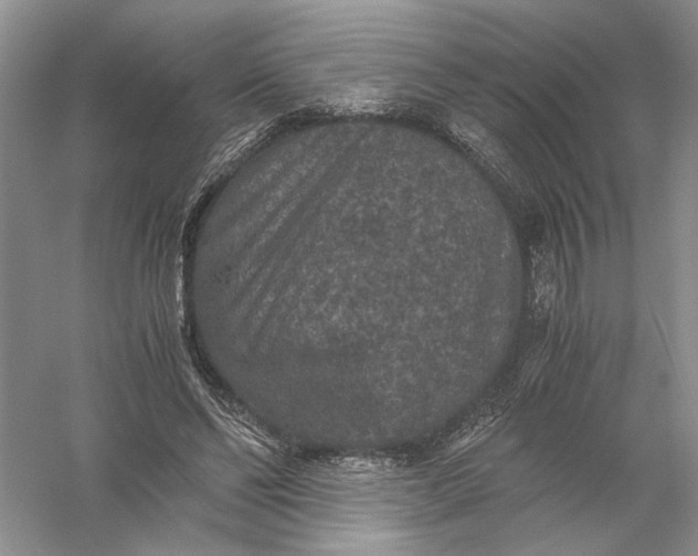 X0000056000494200509092049