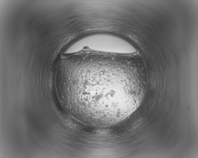 X0000056000495200509092049