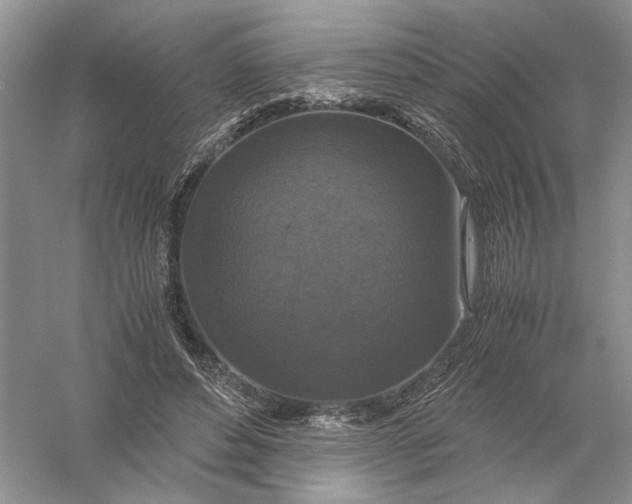 X0000056000496200509092049