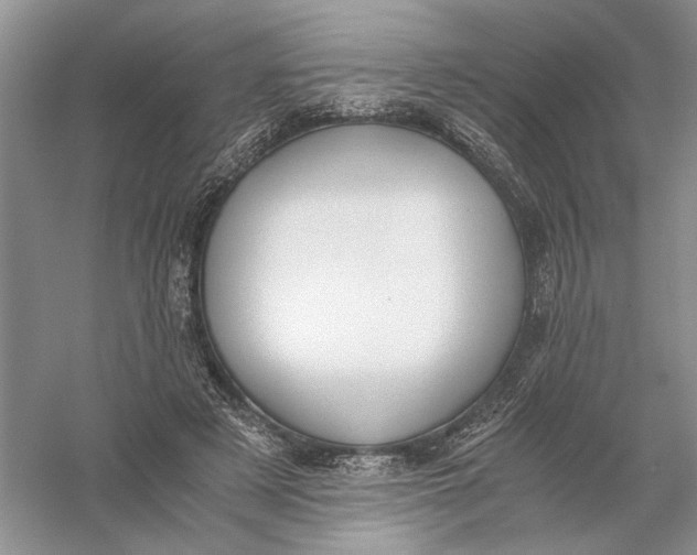 X0000056000497200509092049