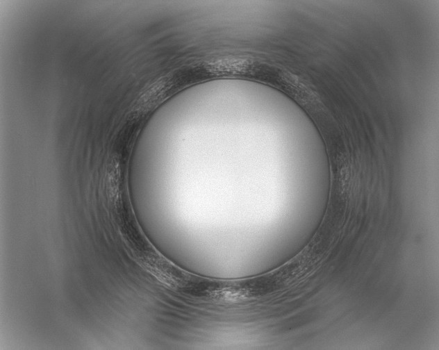 X0000056000498200509092049