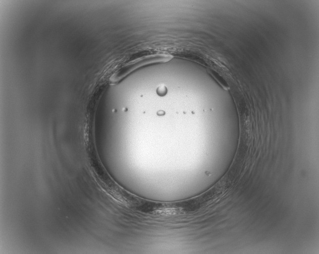 X0000056000499200509092049