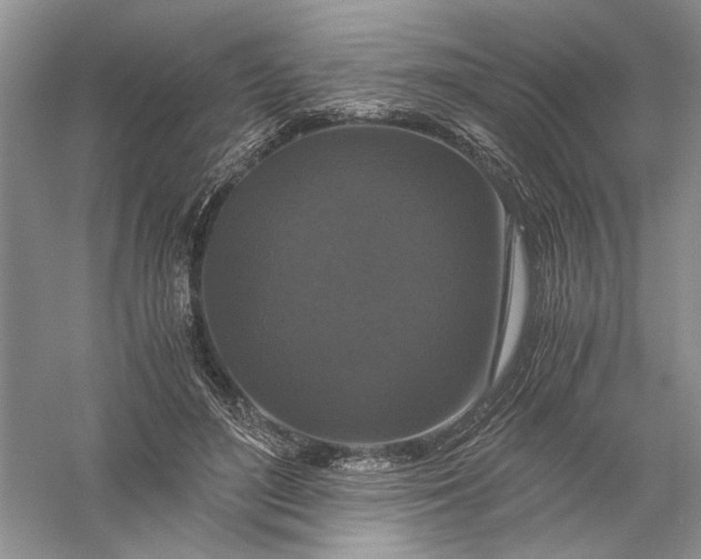 X0000056000500200509092049