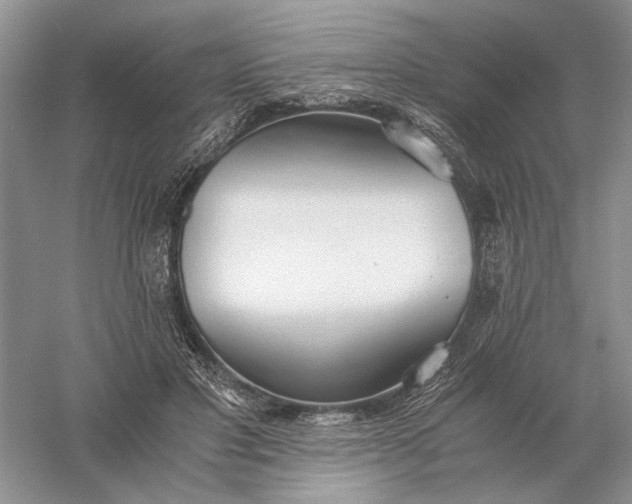 X0000056000501200509092049