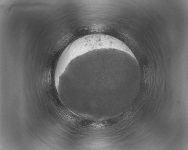 X0000056000502200509092049