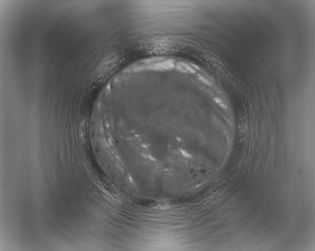 X0000056000503200509092049