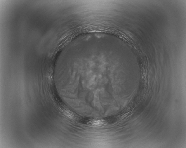 X0000056000507200509092049