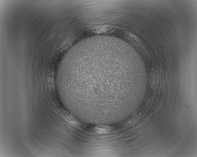 X0000056000510200509092049