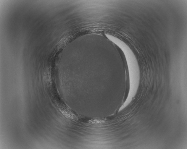 X0000056000512200509092049