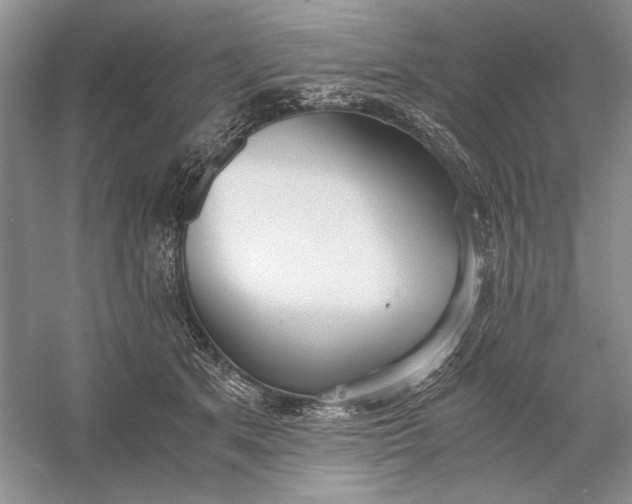 X0000056000513200509092049