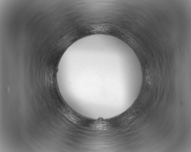 X0000056000514200509092049