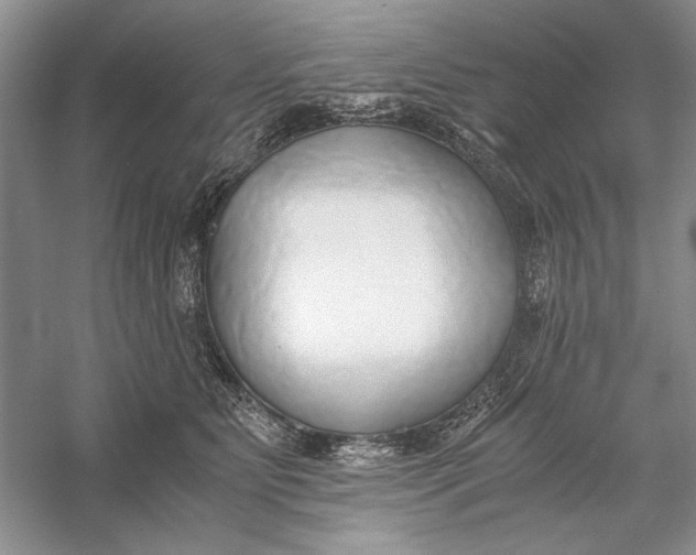 X0000056000515200509092049