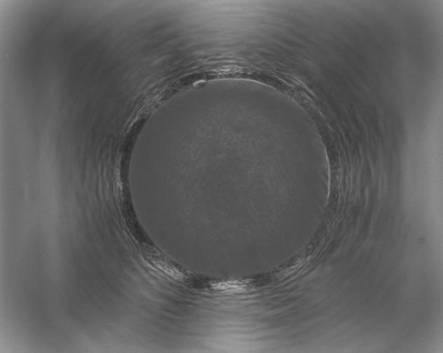 X0000056000516200509092049