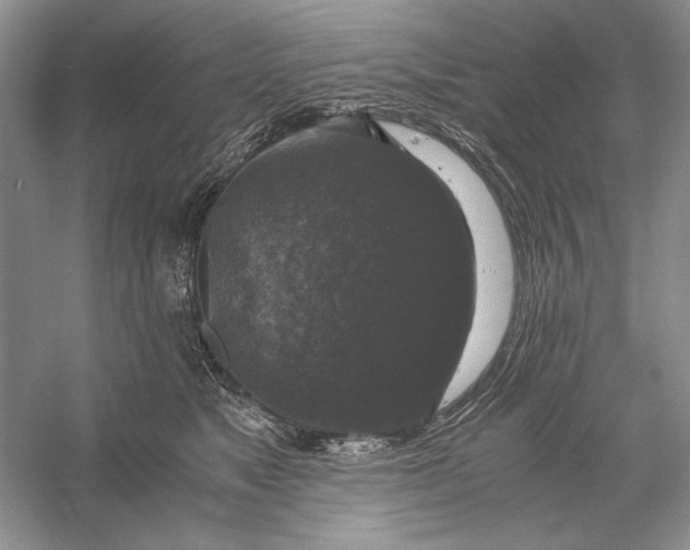 X0000056000517200509092049