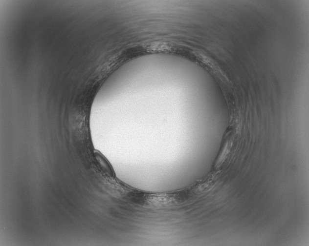 X0000056000521200509092049