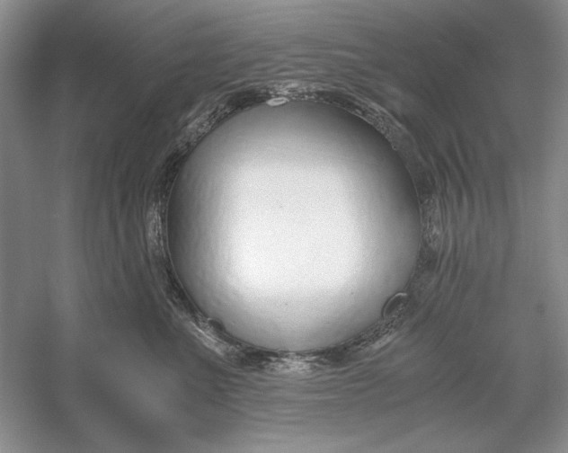 X0000056000523200509092049