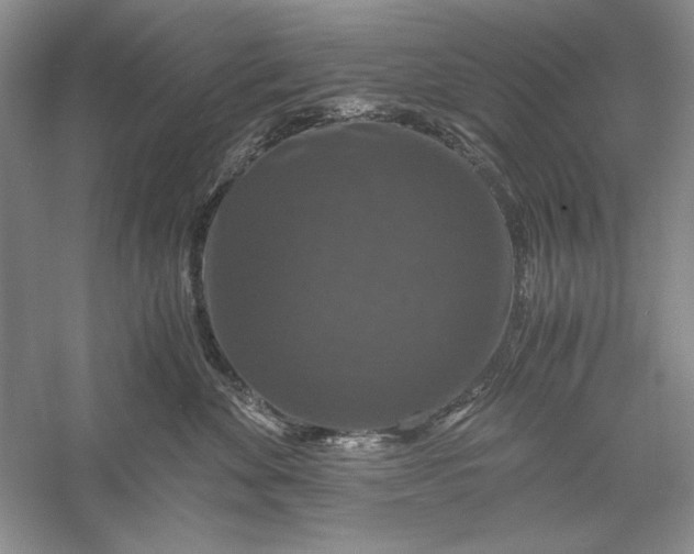 X0000056000524200509092049