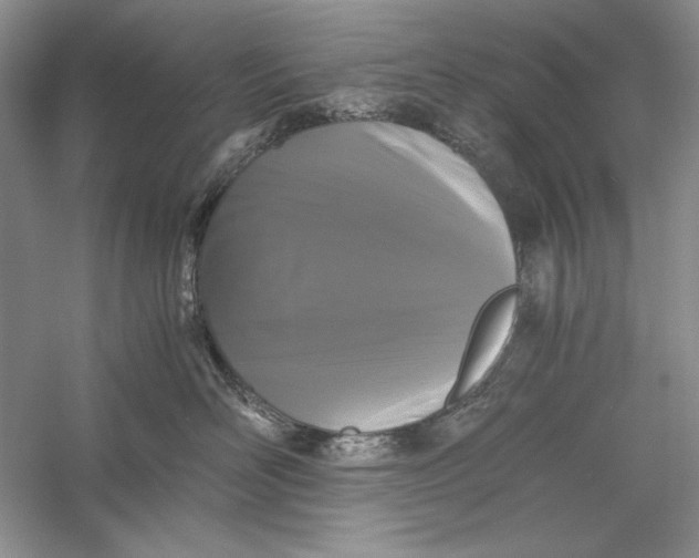 X0000056000526200509092049