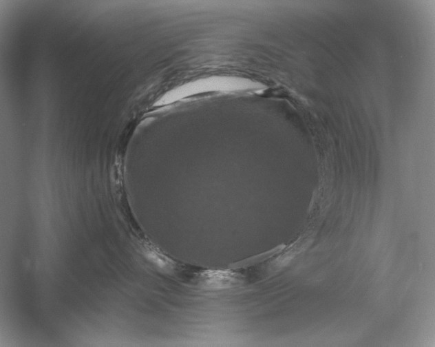 X0000056000528200509092049