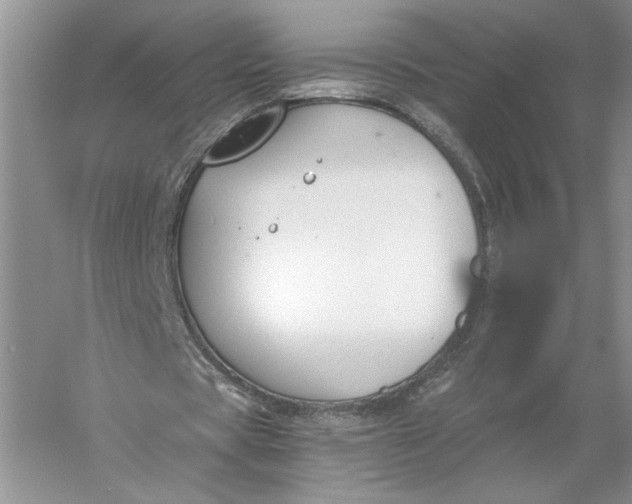 X0000056000529200509092048