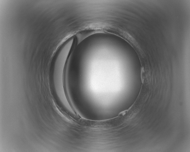 X0000056000530200509092048