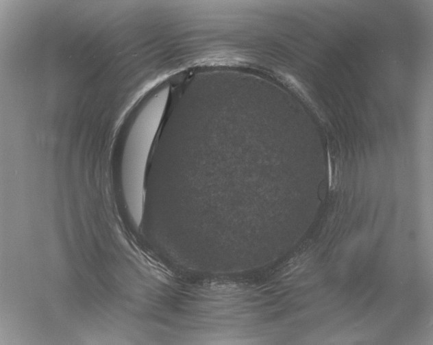 X0000056000531200509092048