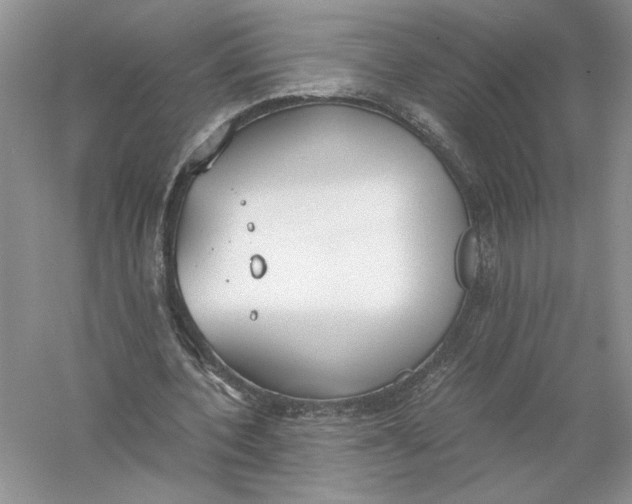 X0000056000532200509092048