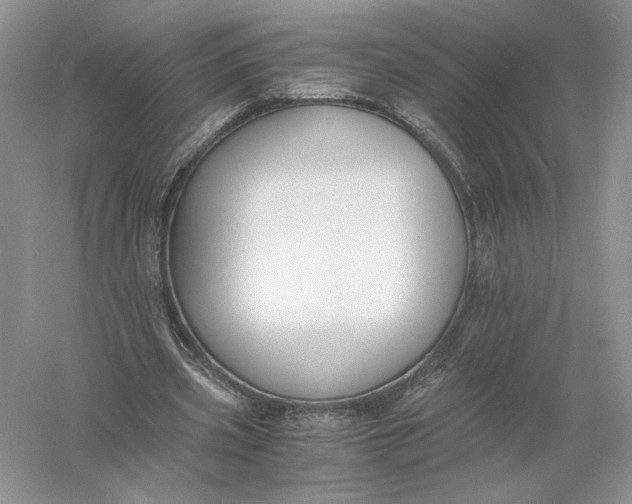 X0000056000533200509092048