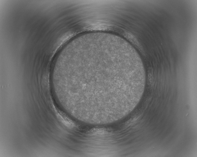 X0000056000534200509092048