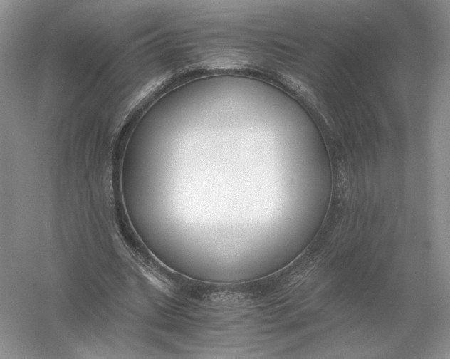 X0000056000535200509092048