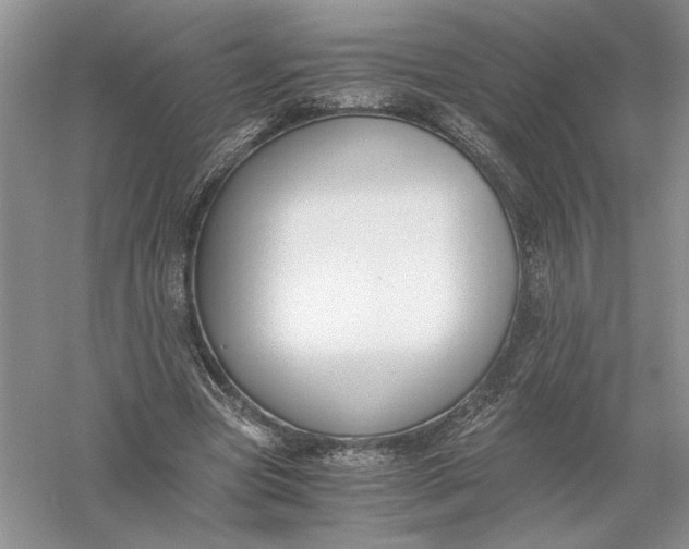 X0000056000537200509092048