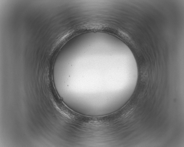 X0000056000538200509092048