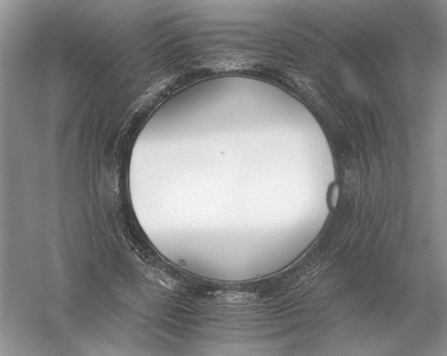 X0000056000539200509092048