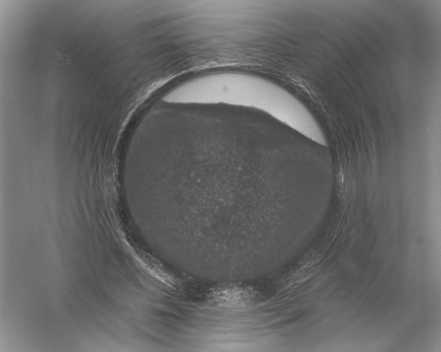 X0000056000540200509092048