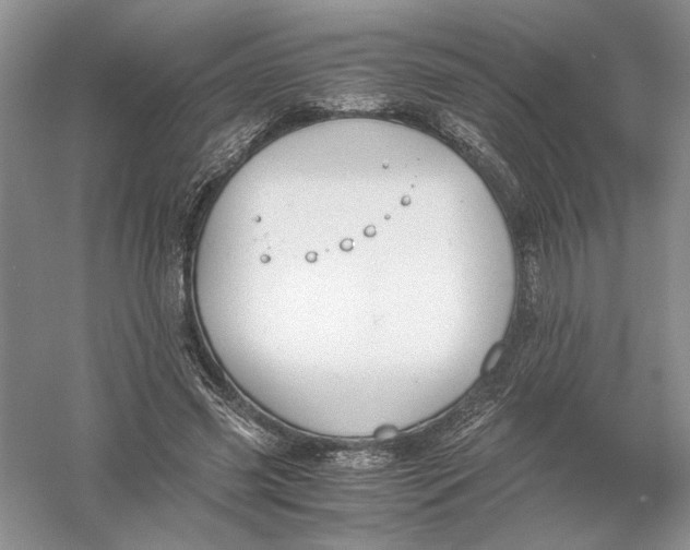 X0000056000541200509092048