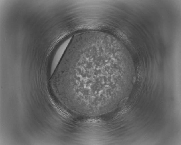 X0000056000542200509092048