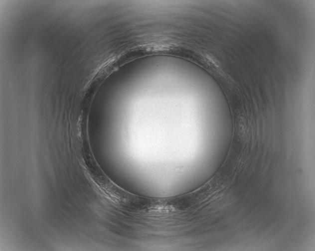 X0000056000543200509092048