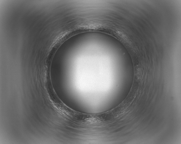 X0000056000544200509092048