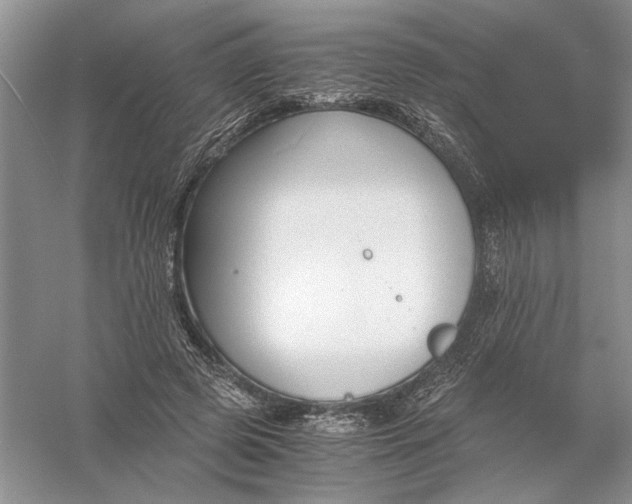 X0000056000545200509092048