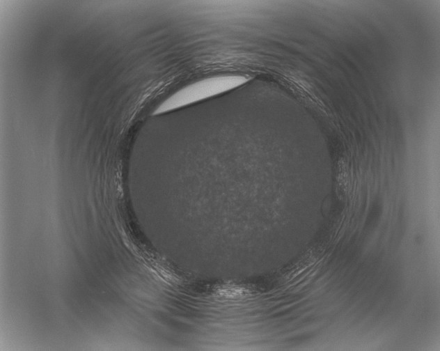 X0000056000547200509092048